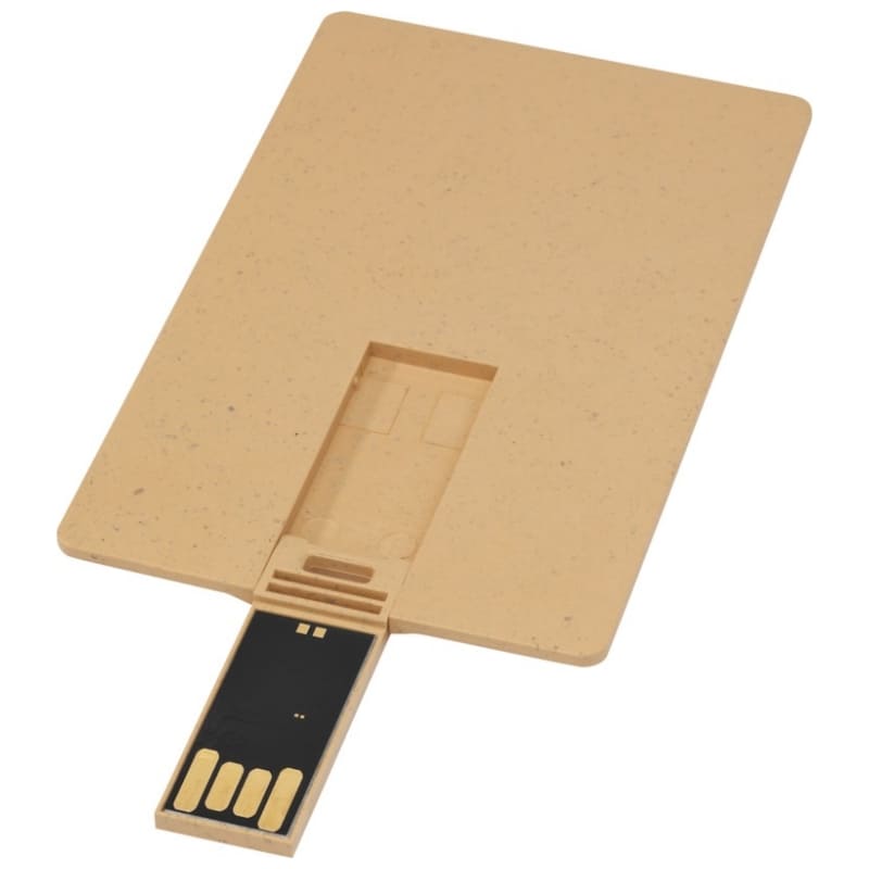 USB-CARD-BIODEGRAD.-1GB